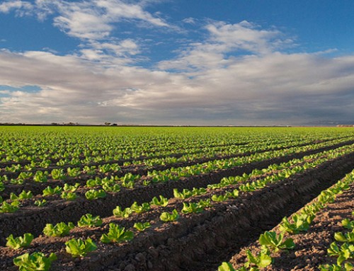 Proposed Regional QLD Project